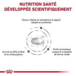 ROYAL CANIN Veterinary Health Nutrition Cat Renal -Materiel Soldes royal canin veterinary diet cat renal 2