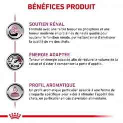 ROYAL CANIN Veterinary Health Nutrition Cat Renal -Materiel Soldes royal canin veterinary diet cat renal 3
