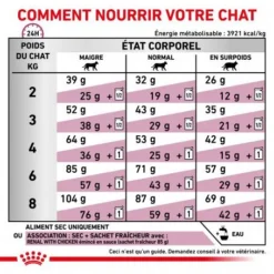 ROYAL CANIN Veterinary Health Nutrition Cat Renal -Materiel Soldes royal canin veterinary diet cat renal 4
