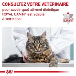 ROYAL CANIN Veterinary Health Nutrition Cat Renal -Materiel Soldes royal canin veterinary diet cat renal 7