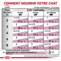 ROYAL CANIN Veterinary Health Nutrition Cat Renal Poulet Sachet -Materiel Soldes royal canin veterinary diet cat renal poulet boite 3