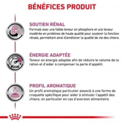 ROYAL CANIN Veterinary Health Nutrition Dog Renal 12 ROYAL CANIN Veterinary Health Nutrition Dog Renal -Materiel Soldes royal canin veterinary diet dog renal 3