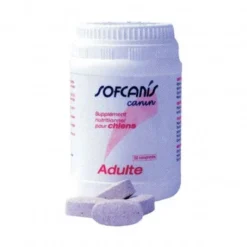Sofcanis Adulte