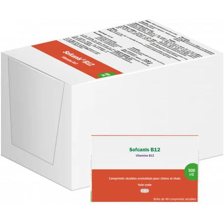 Sofcanis B12 2 Sofcanis B12 – Image 2