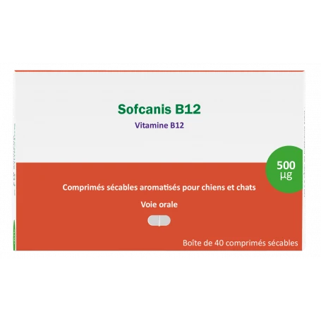 Sofcanis B12 1 Sofcanis B12