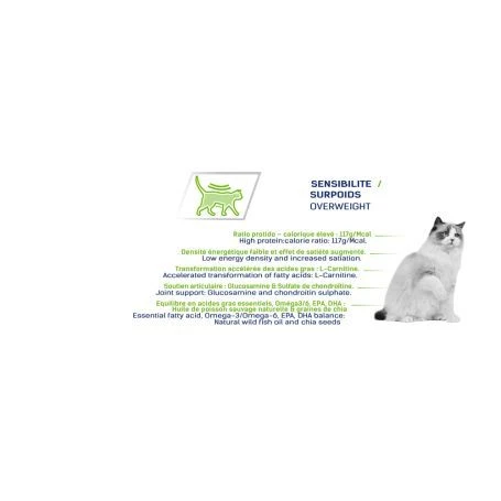 Tonivet Chat Ligne 2 Tonivet Chat Ligne – Image 2