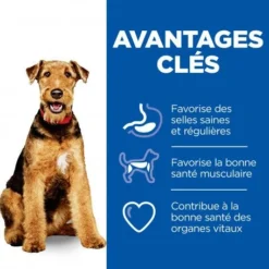 Vet Essentials Canine Adult Healthy Digestive Biome Medium 11 Vet Essentials Canine Adult Healthy Digestive Biome Medium -Materiel Soldes vet essentials canine adult healthy digestive biome large 10