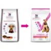 Vet Essentials Canine Adult Healthy Digestive Biome Medium