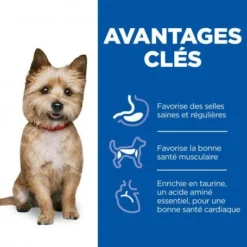 Vet Essentials Canine Adult Healthy Digestive Biome Small&Mini 11 Vet Essentials Canine Adult Healthy Digestive Biome Small&Mini -Materiel Soldes vet essentials canine adult healthy digestive biome smallmi 3