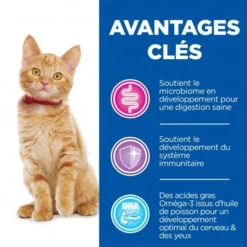 Vet Essentials Kitten Growth ActivBiome+ Poulet -Materiel Soldes vet essentials chat kitten growth poulet 3