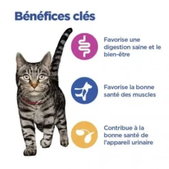 Vet Essentials Chat Multi-Benefit Adult + Poulet 10 Vet Essentials Chat Multi-Benefit Adult + Poulet -Materiel Soldes vet essentials chat multi benefit adult 1 poulet 3