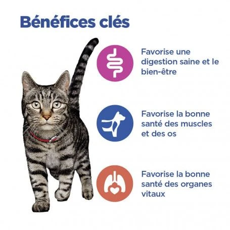 Vet Essentials Chat Multi-Benefit Adulte Poulet Sachet Repas 4 Vet Essentials Chat Multi-Benefit Adulte Poulet Sachet Repas – Image 4