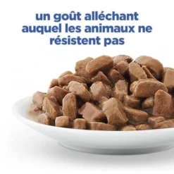 Vet Essentials Chat Multi-Benefit Adult 1+ Saumon Sachet Repas -Materiel Soldes vet essentials chat multi benefit adult 1 saumon sachet re 5