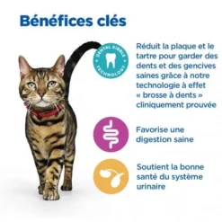 Vet Essentials Chat Multi-Benefit + Dental Adult 1+ Poulet -Materiel Soldes vet essentials chat multi benefit dental adult 1 poulet 5
