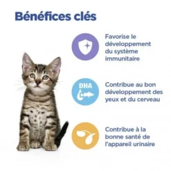 Vet Essentials Chat Multi-Benefit Kitten Poulet Sachet Repas -Materiel Soldes vet essentials chat multi benefit kitten poulet sachet repas 2