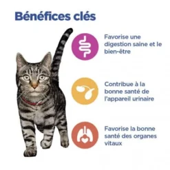 Vet Essentials Chat Multi-Benefit Mature Adulte 7+ Poulet Sachet Repas -Materiel Soldes vet essentials chat multi benefit matur adulte 7 poulet sachet repas 2