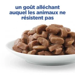 Vet Essentials Chat Multi-Benefit + Weight Adult Poulet Sachets Repas -Materiel Soldes vet essentials chat multi benefit weight adult poulet sachets repas 3