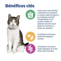 Vet Essentials Chat Multi-Benefit + Weight Adult Poulet Sachets Repas -Materiel Soldes vet essentials chat multi benefit weight adult poulet sachets repas 7