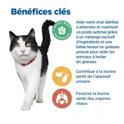 Vet Essentials Chat Multi-Benefit + Weight Mature 7+ Poulet -Materiel Soldes vet essentials chat multi benefit weight mature adult7 po 3
