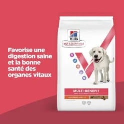 Vet Essentials Chien Multi-Benefit Adult + Large Breed Agneau & Riz -Materiel Soldes vet essentials chien multi benefit adult 1 l breed agnri 1