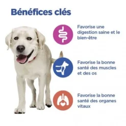 Vet Essentials Chien Multi-Benefit Adult + Large Breed Agneau & Riz -Materiel Soldes vet essentials chien multi benefit adult 1 l breed agnri 3