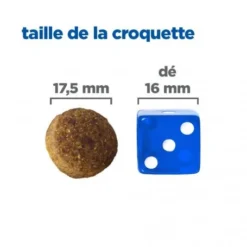 Vet Essentials Chien Multi-Benefit Adult + Large Breed Agneau & Riz -Materiel Soldes vet essentials chien multi benefit adult 1 l breed agnri 4