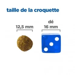 Vet Essentials Chien Multi-Benefit Adult + Medium Agneau & Riz -Materiel Soldes vet essentials chien multi benefit adult 1 medium agnriz 4