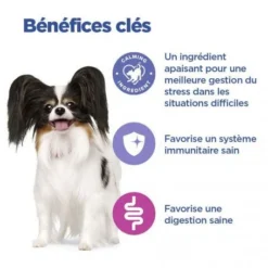 Vet Essentials Chien Multi-Benefit + Calm Adult 1+ Small & Mini -Materiel Soldes vet essentials chien multi benefit calm adult 1 smm po 3