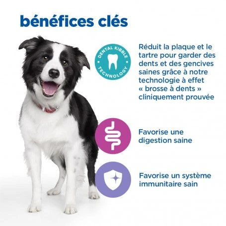 Vet Essentials Chien Multi-Benefit + Dental Adulte + Medium & Large Poulet 5 Vet Essentials Chien Multi-Benefit + Dental Adulte + Medium & Large Poulet – Image 5
