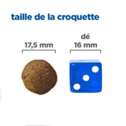 Vet Essentials Chien Multi-Benefit + Digestion Adulte+ Large Breed -Materiel Soldes vet essentials chien multi benefit digestion ad1 lar br sac de 14 kg 2