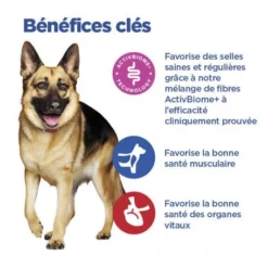 Vet Essentials Chien Multi-Benefit + Digestion Adulte+ Large Breed -Materiel Soldes vet essentials chien multi benefit digestion ad1 lar br sac de 14 kg 5