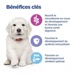 Vet Essentials Chien Multi-Benefit Puppy Large Breed Poulet 13 Vet Essentials Chien Multi-Benefit Puppy Large Breed Poulet -Materiel Soldes vet essentials chien multi benefit puppy large breed poulet 5