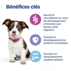 Vet Essentials Chien Multi-Benefit Puppy Medium Poulet -Materiel Soldes vet essentials chien multi benefit puppy medium poulet 2