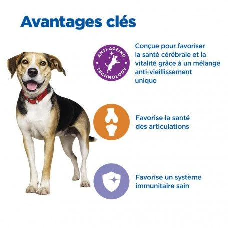 Vet Essentials Chien Multi-Benefit + Senior Health M&L Poul. 3 Vet Essentials Chien Multi-Benefit + Senior Health M&L Poul. – Image 3