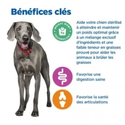 Vet Essentials Chien Multi-Benefit + Weight Adult + Large Breed Poulet -Materiel Soldes vet essentials chien multi benefit wei adult 1 larb po 3