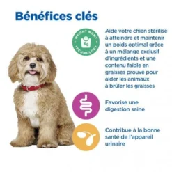 Vet Essentials Chien Multi-Benefit + Weight Adult 1+ Small & Mini Poulet 12 Vet Essentials Chien Multi-Benefit + Weight Adult 1+ Small & Mini Poulet -Materiel Soldes vet essentials chien multi benefit wei adult 1 smm po 3