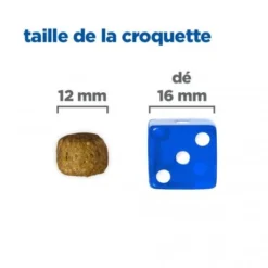 Vet Essentials Chien Multi-Benefit+Dental Adult 1+ Small & Mini -Materiel Soldes vet essentials chien multi benefitdental adult 1 sm mp 5