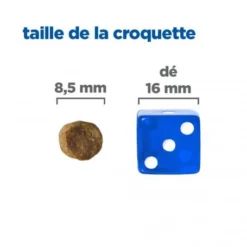 Vet Essentials Mult-Benefit Chat Adult No Grain Thon & Pomme De Terre -Materiel Soldes vet essentials mult benefit chat adult no grain thon pdt 4