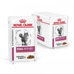 Nouveaux produits -Materiel Soldes veterinary diet cat renal boeuf sachet repas 1