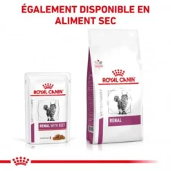 ROYAL CANIN Veterinary Health Nutrition Cat Renal Boeuf Sachet Repas -Materiel Soldes veterinary diet cat renal boeuf sachet repas 6