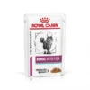 ROYAL CANIN Veterinary Health Nutrition Cat Renal Poisson Sachet Repas