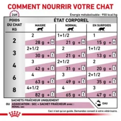 ROYAL CANIN Veterinary Health Nutrition Cat Renal Poisson Sachet Repas -Materiel Soldes veterinary diet cat renal poisson sachet repas 3