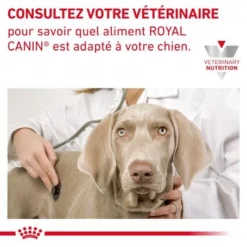 ROYAL CANIN Veterinary Health Nutrition Dog Cardiac 15 ROYAL CANIN Veterinary Health Nutrition Dog Cardiac -Materiel Soldes veterinary diet dog cardiac 7