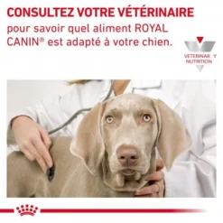 ROYAL CANIN Veterinary Health Nutrition Dog Cardiac Boîte -Materiel Soldes veterinary diet dog cardiac boite 5