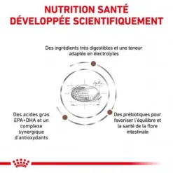 ROYAL CANIN Dog Gastro Intestinal High Fibre -Materiel Soldes veterinary diet dog fibre response 2