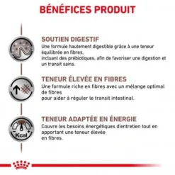 ROYAL CANIN Dog Gastro Intestinal High Fibre -Materiel Soldes veterinary diet dog fibre response 3