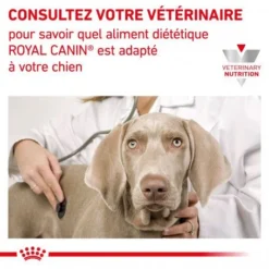 ROYAL CANIN Dog Gastro Intestinal High Fibre -Materiel Soldes veterinary diet dog fibre response 6