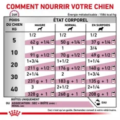 ROYAL CANIN Veterinary Health Nutrition Dog Renal Boîte 9 ROYAL CANIN Veterinary Health Nutrition Dog Renal Boîte -Materiel Soldes veterinary diet dog renal boite 2