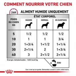 ROYAL CANIN Veterinary Health Nutrition Dog Renal Special Boîte -Materiel Soldes veterinary diet dog renal special boite 3