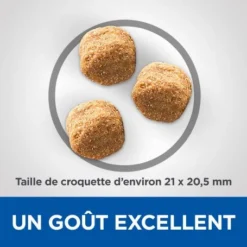 Vet Essentials Canine Adult Dental Health Large Breed Poulet 9 Vet Essentials Canine Adult Dental Health Large Breed Poulet -Materiel Soldes vetessentials canine adult large breed 2